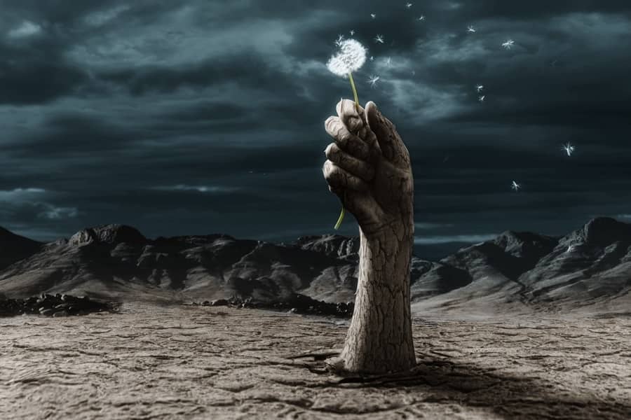 The Meaning Behind Biblical Dream Interpretation Car Accidents